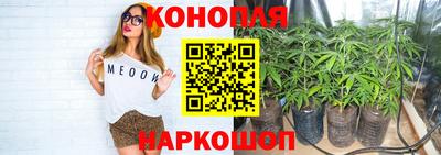 спиды Гусь-Хрустальный